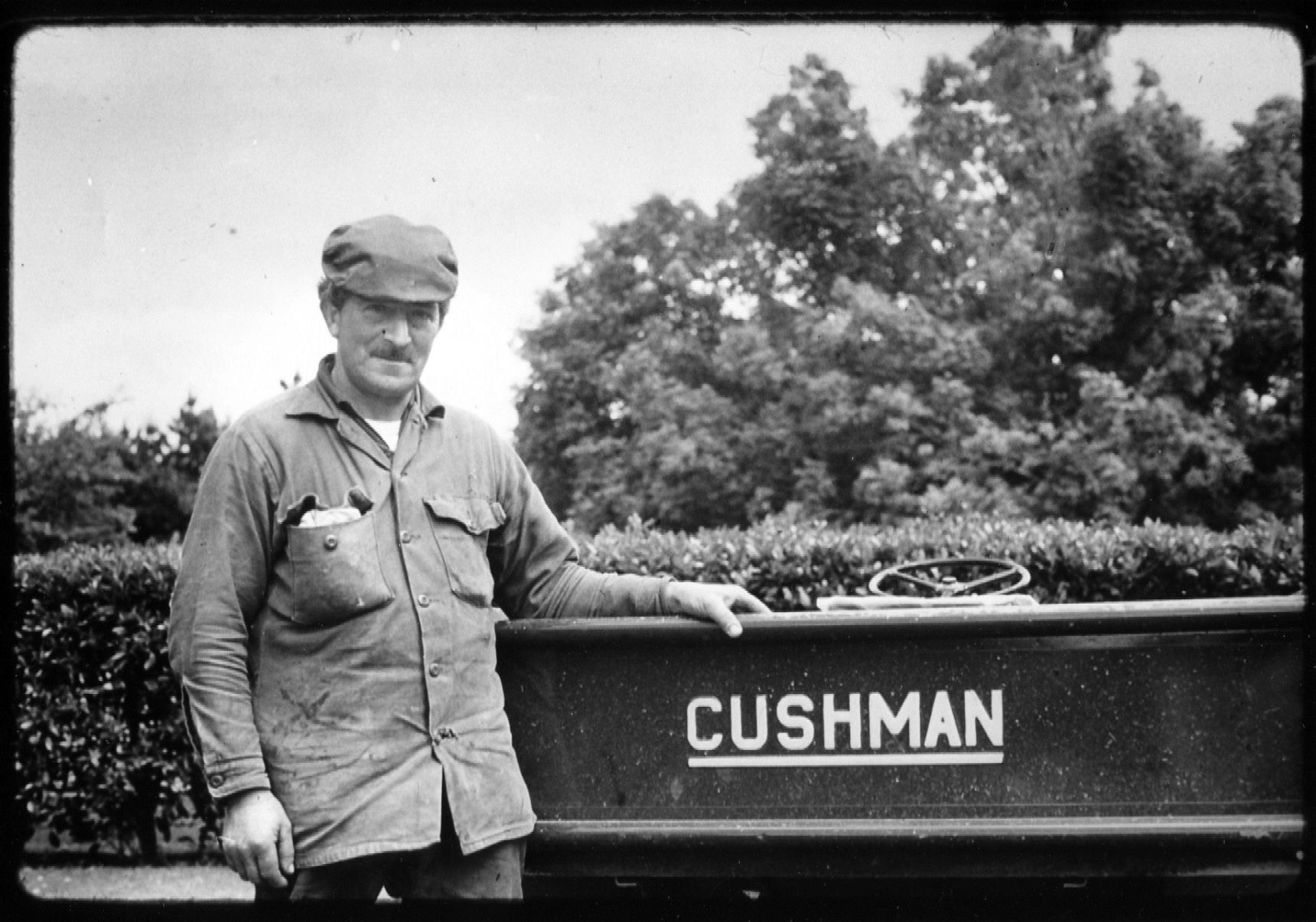 Cushman 1979